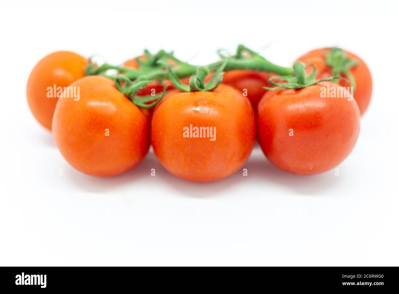 Red tomatoes on the vine, against a white background Stock Photo - Alamy