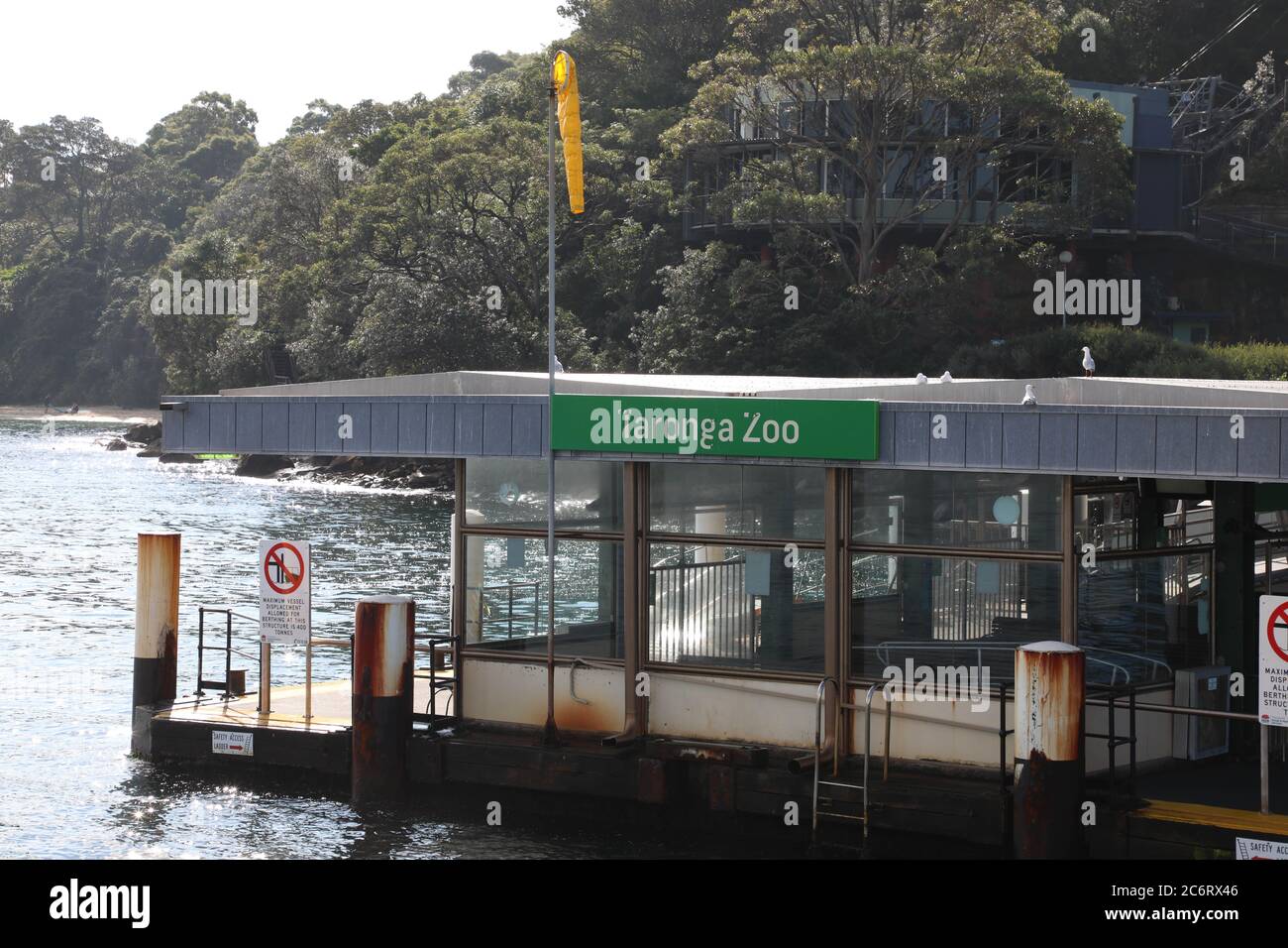 sydney taronga zoo ferry