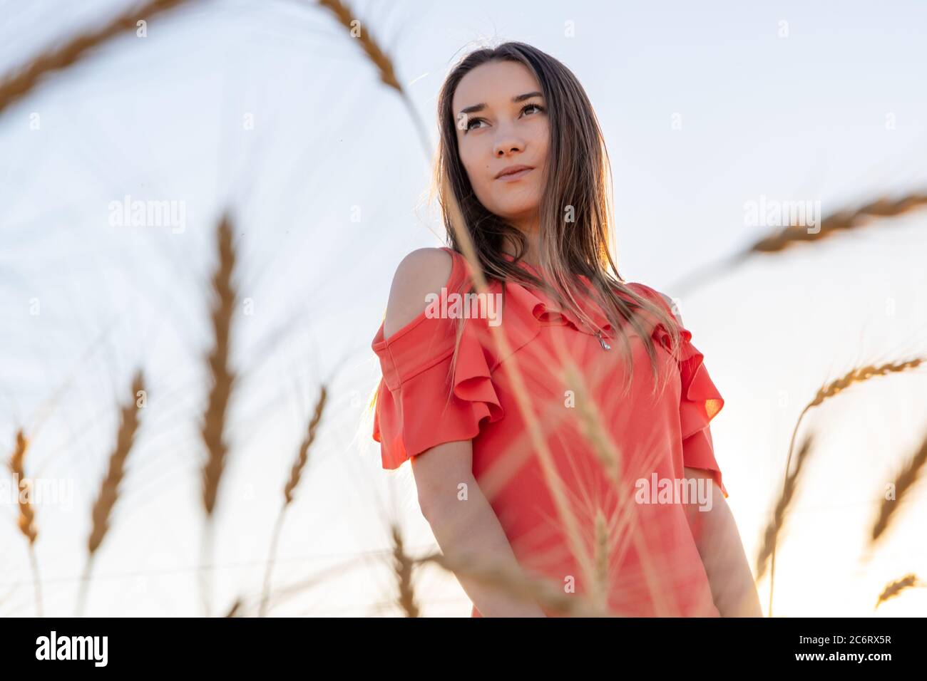 Beautiful asian brunette young woman stand wheat field blue sky Stock Photo