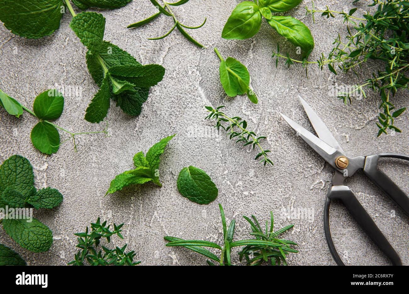 Herb Scissors, Assorted