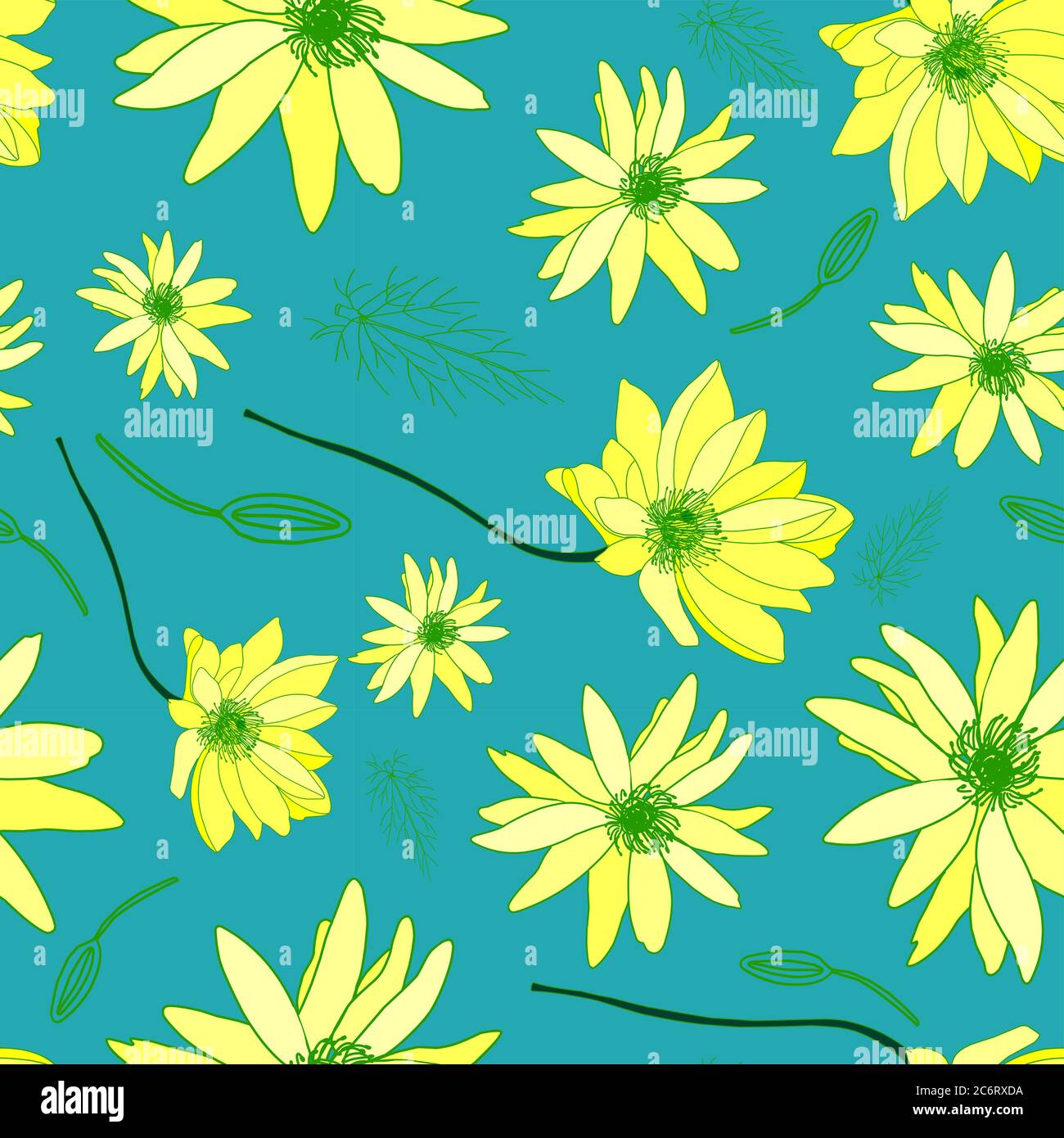 Adonis pattern. Bright summer flower pattern. Turquoise. vector illustration. Botanical illustration Stock Vector