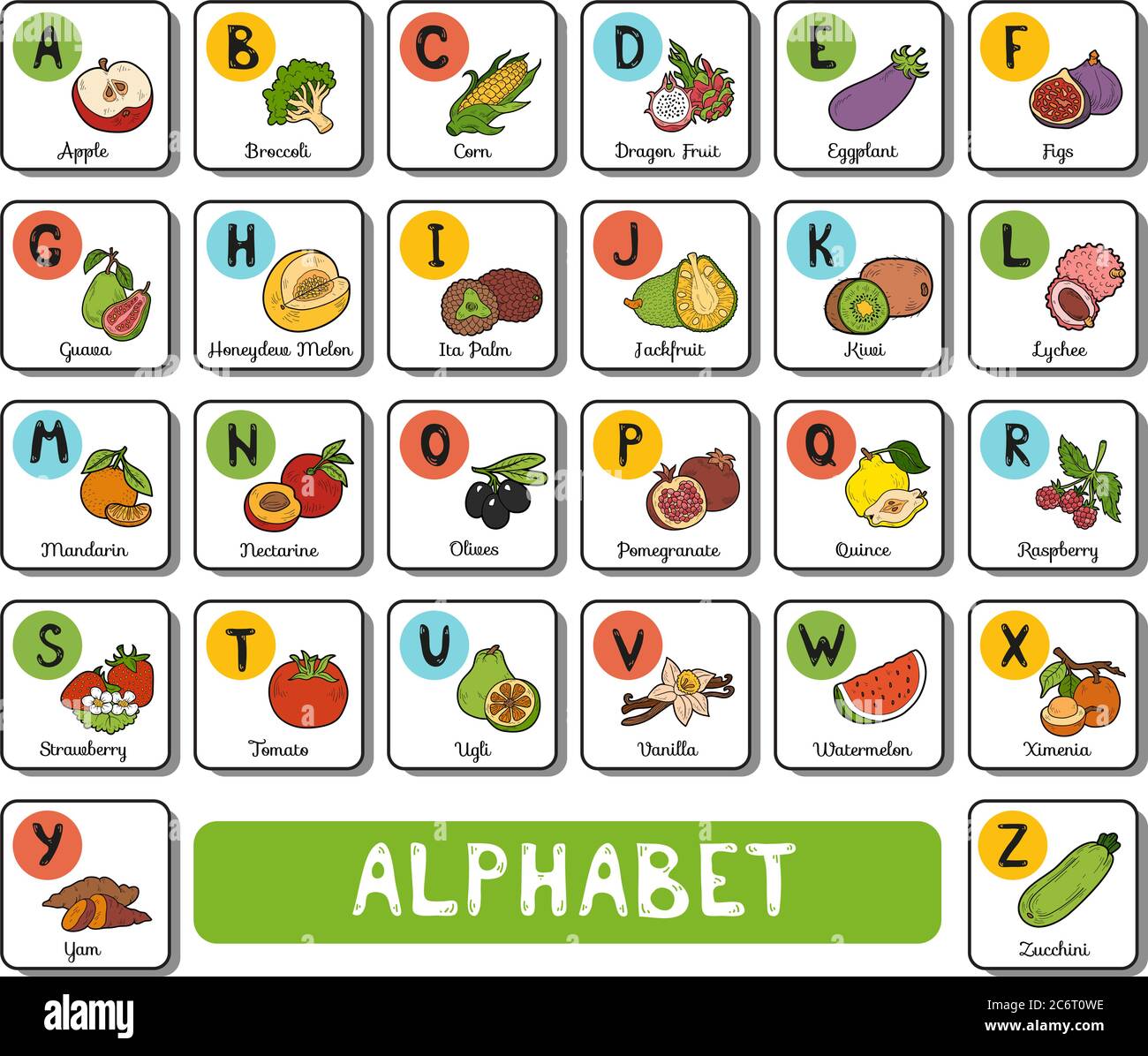 Vector color alphabet with fruit and vegetables on white background. Square card with letters A-Z Stock Vector