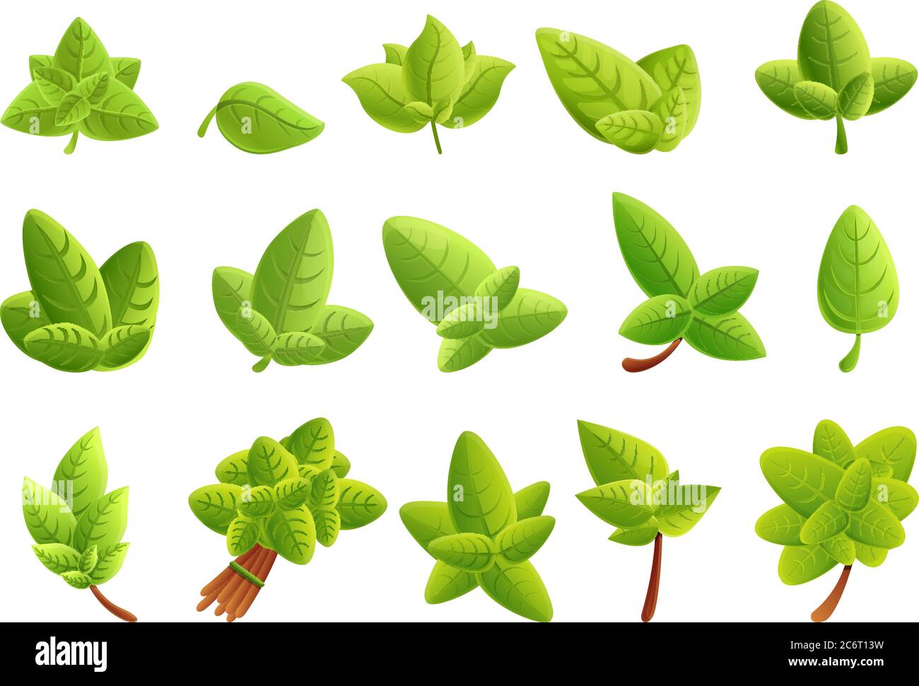 Basil icons set. Cartoon set of basil vector icons for web design Stock ...