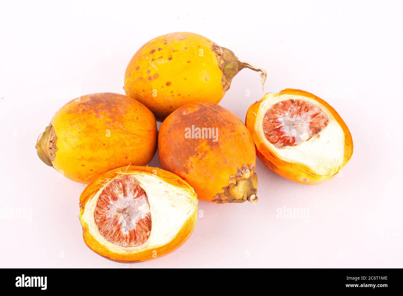 Betel nut is used in industrial textile dyes on white background isolated Stock Photo