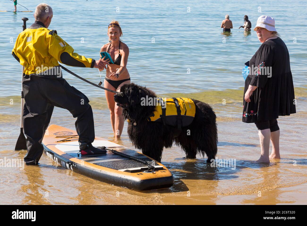 Poole, Dorset UK. 12th July 2020. UK weather: very warm sunny day at Poole beaches as dog owners take their dogs for some dog training lessons, including learning to paddle board and increase their confidence in the sea whilst enjoying the sunshine. Newfoundland dog learning to paddleboard. Credit: Carolyn Jenkins/Alamy Live News Stock Photo