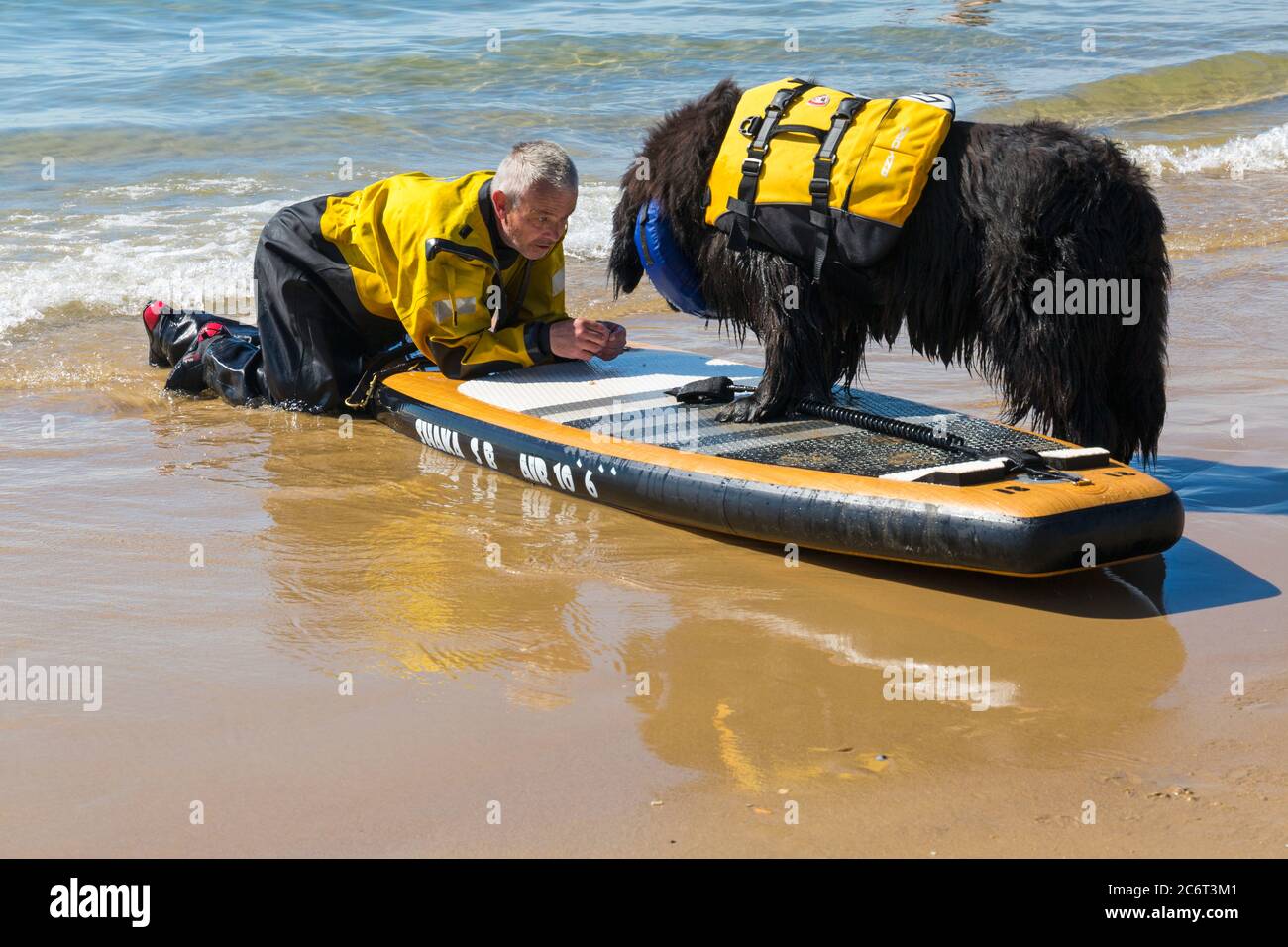 Poole, Dorset UK. 12th July 2020. UK weather: very warm sunny day at Poole beaches as dog owners take their dogs for some dog training lessons, including learning to paddle board and increase their confidence in the sea whilst enjoying the sunshine. Newfoundland dog learning to paddleboard. Credit: Carolyn Jenkins/Alamy Live News Stock Photo