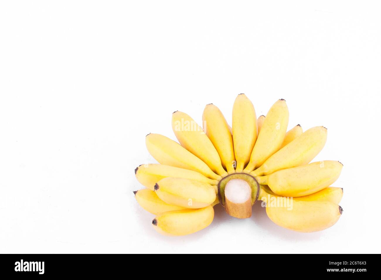 ripe hand of golden bananas or Lady Finger banana on white background