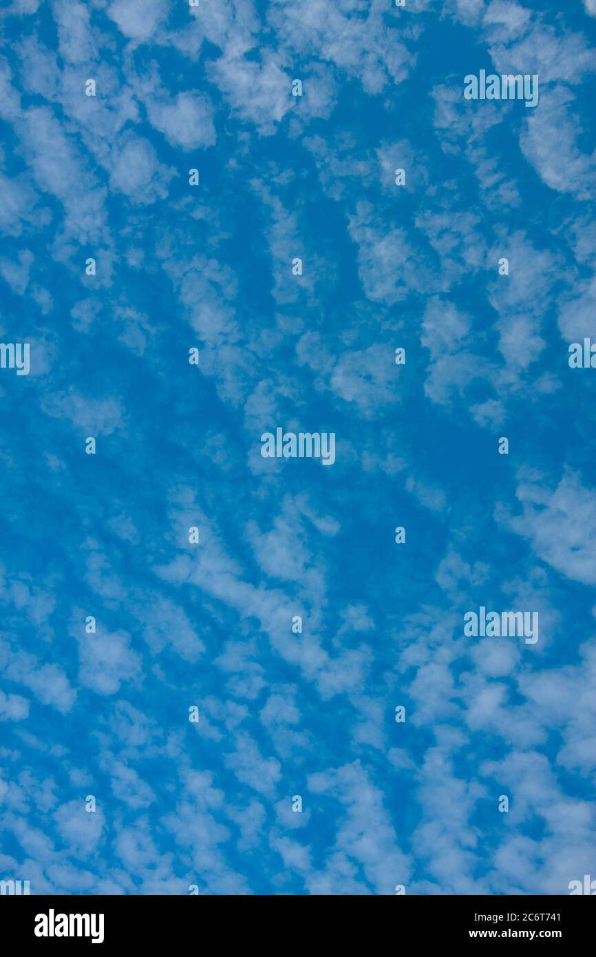 blue sky and fluffy clouds (Cirrocumulus) on nature background texture Stock Photo