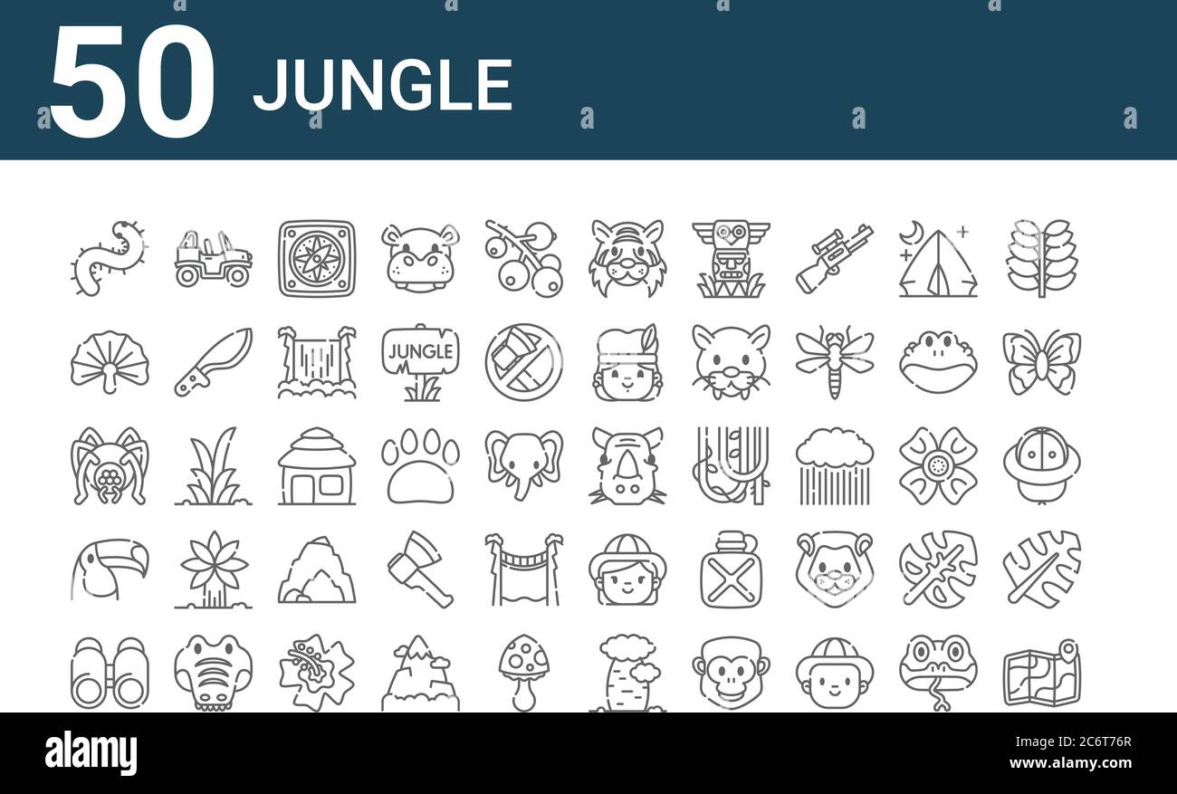 set of 50 jungle icons. outline thin line icons such as map, binoculars ...