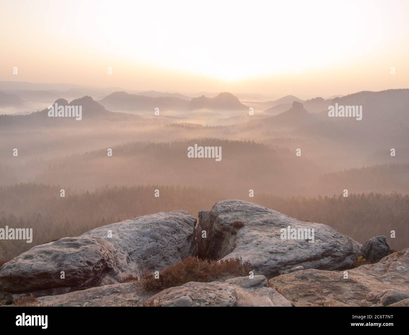 Natural landscape of fog and mist with mountain and treelines Stock ...