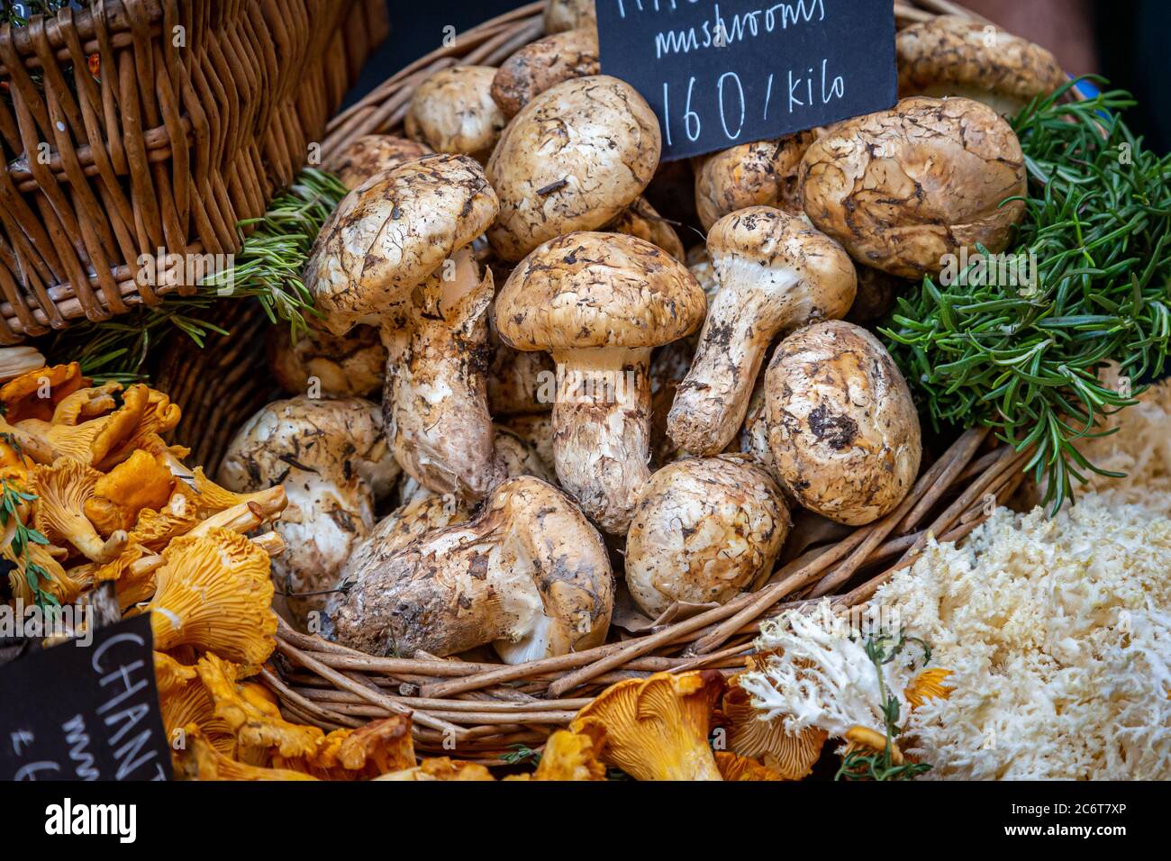 Matsutake mushrooms hires stock photography and images Alamy