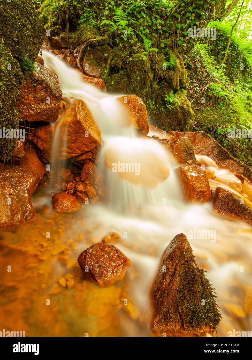 Cascades of mineral water. Red ferric mud of sediments on big boulders between green ferns Stock Photo