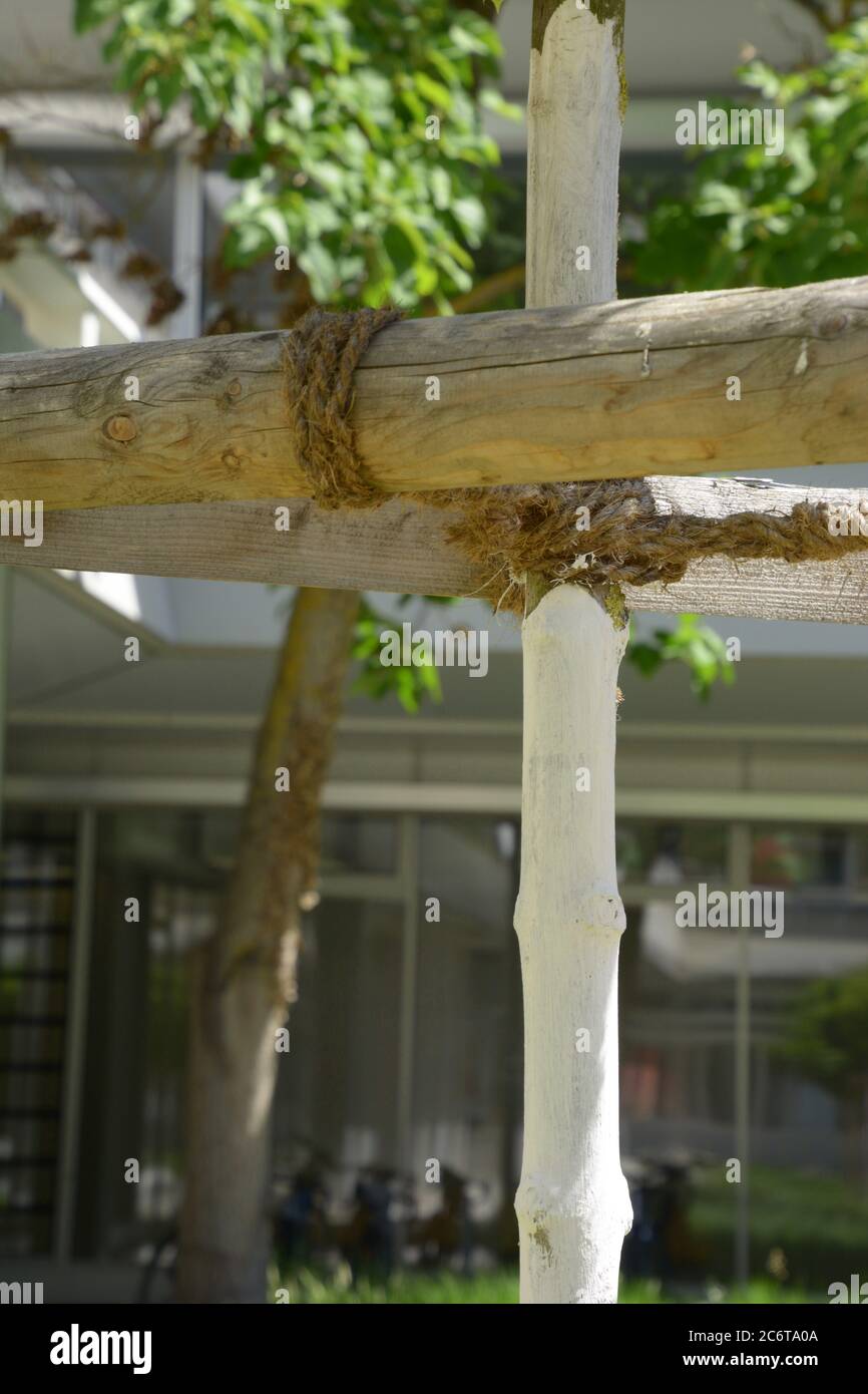 Protects from insects hires stock photography and images Alamy