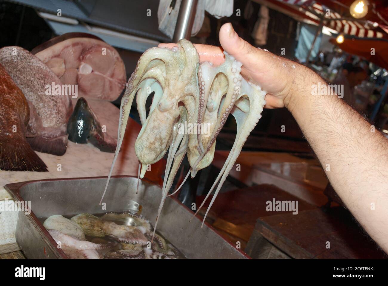 octopuses in a hand of fishmonger in Catania fresh fish market, they are a typical food of Sicily from the sea Stock Photo