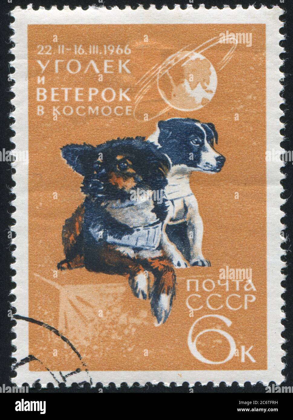 RUSSIA - CIRCA 1966: stamp printed by Russia, shows Dogs Ugolek and Veterok after Space Flight, circa 1966 Stock Photo