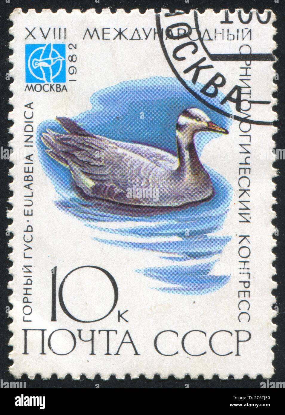 RUSSIA - CIRCA 1982: stamp printed by Russia, shows Eulabeia indica, circa 1982 Stock Photo