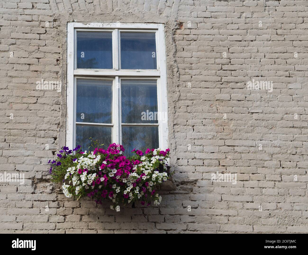 white window with flower box with colorful geranium on cream white ...