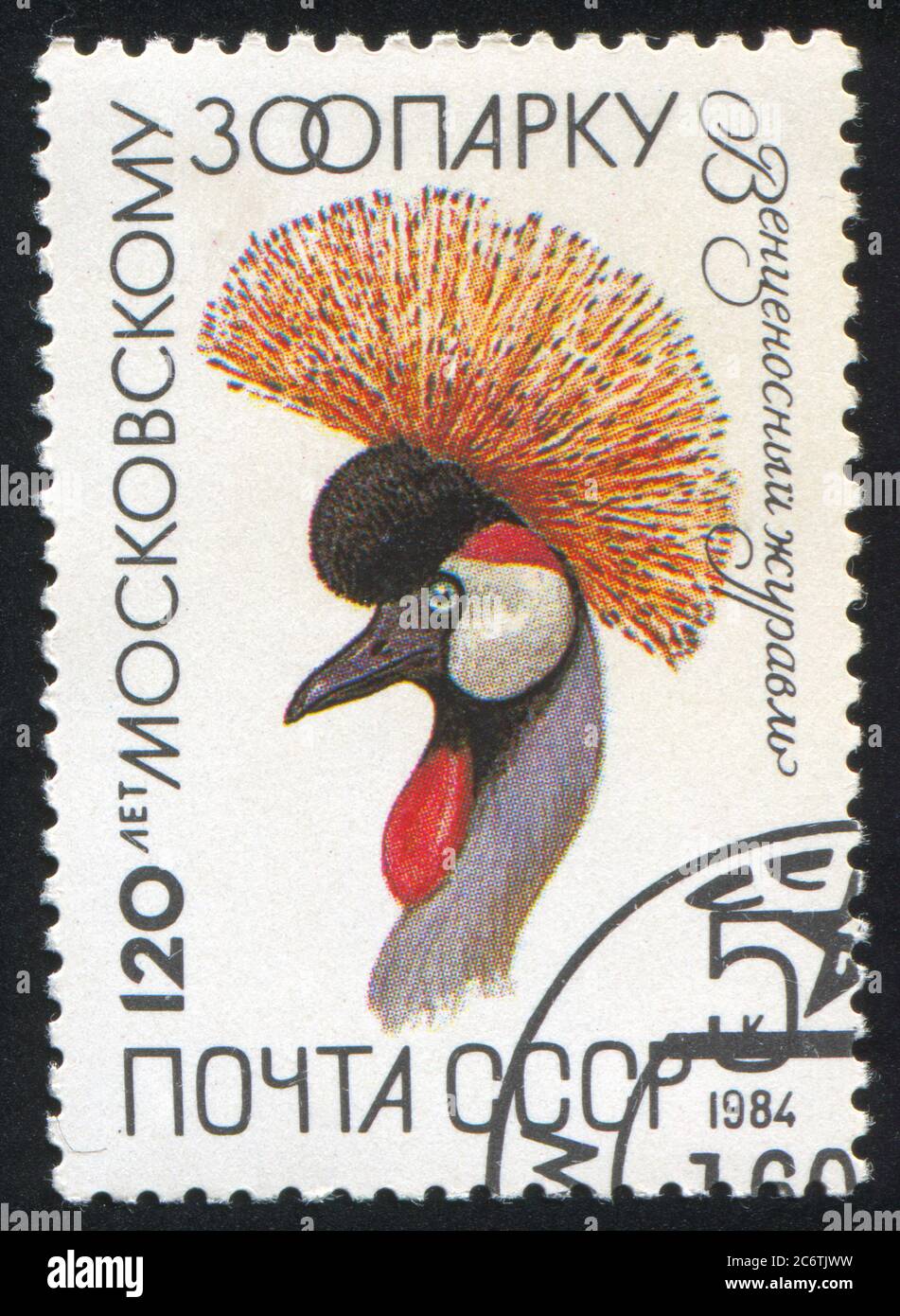 RUSSIA - CIRCA 1984: stamp printed by Russia, shows Crowned crane, circa 1984 Stock Photo