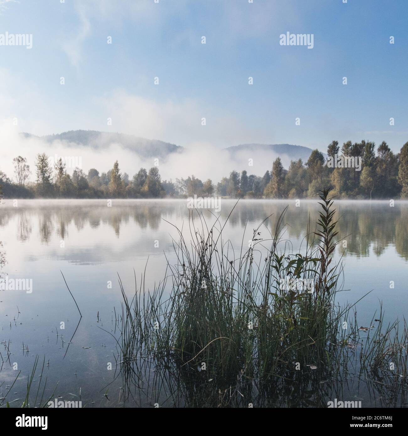 Lake grass morning mist water reflection fog blue sky Stock Photo - Alamy