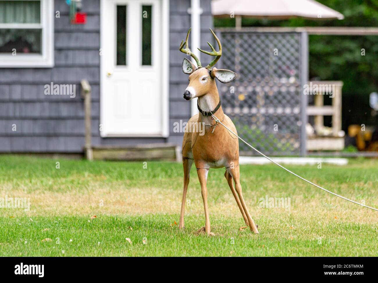 sculpture of a life like deer tied in a front yard in Amgansett, NY Stock Photo