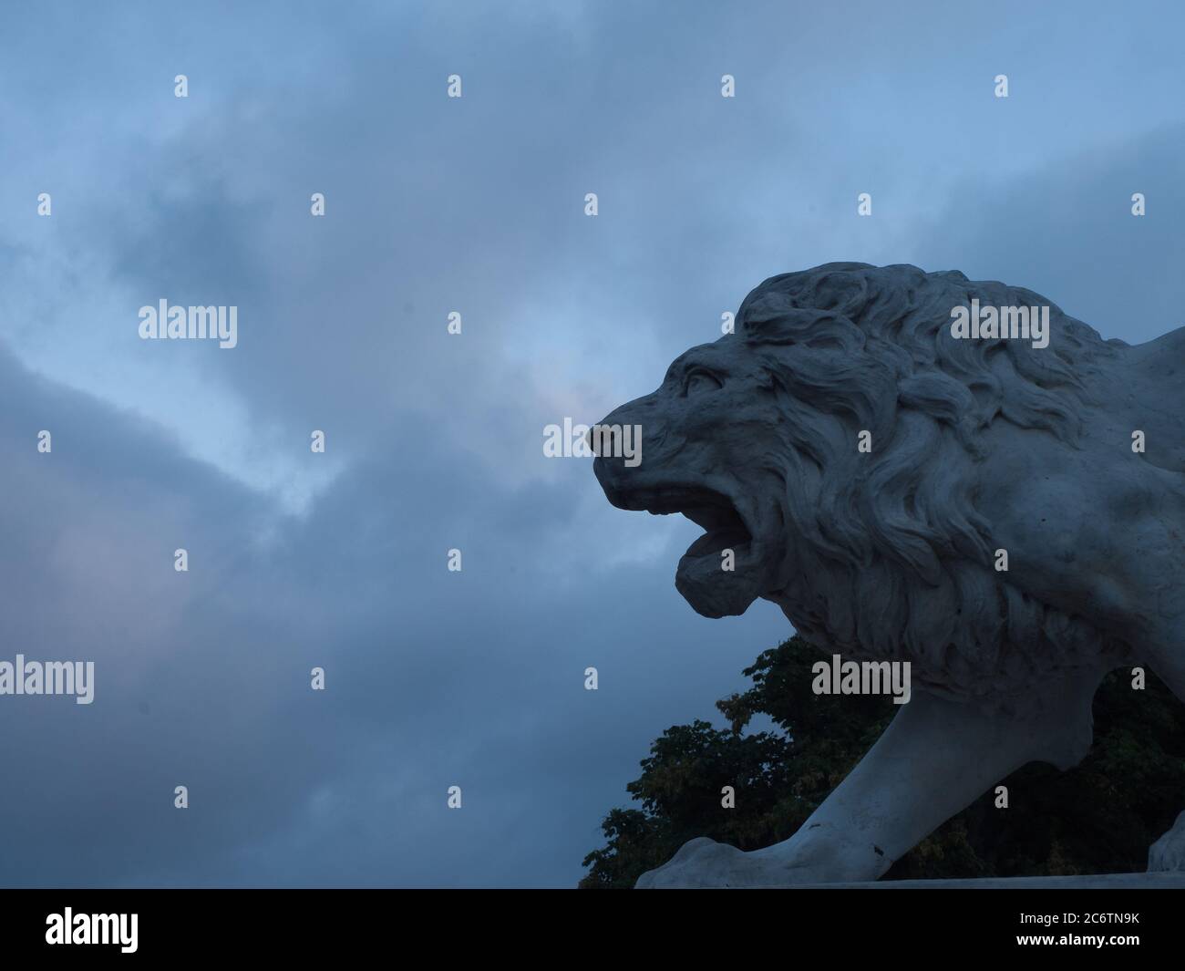 Lion roaring at the sky hi-res stock photography and images - Alamy