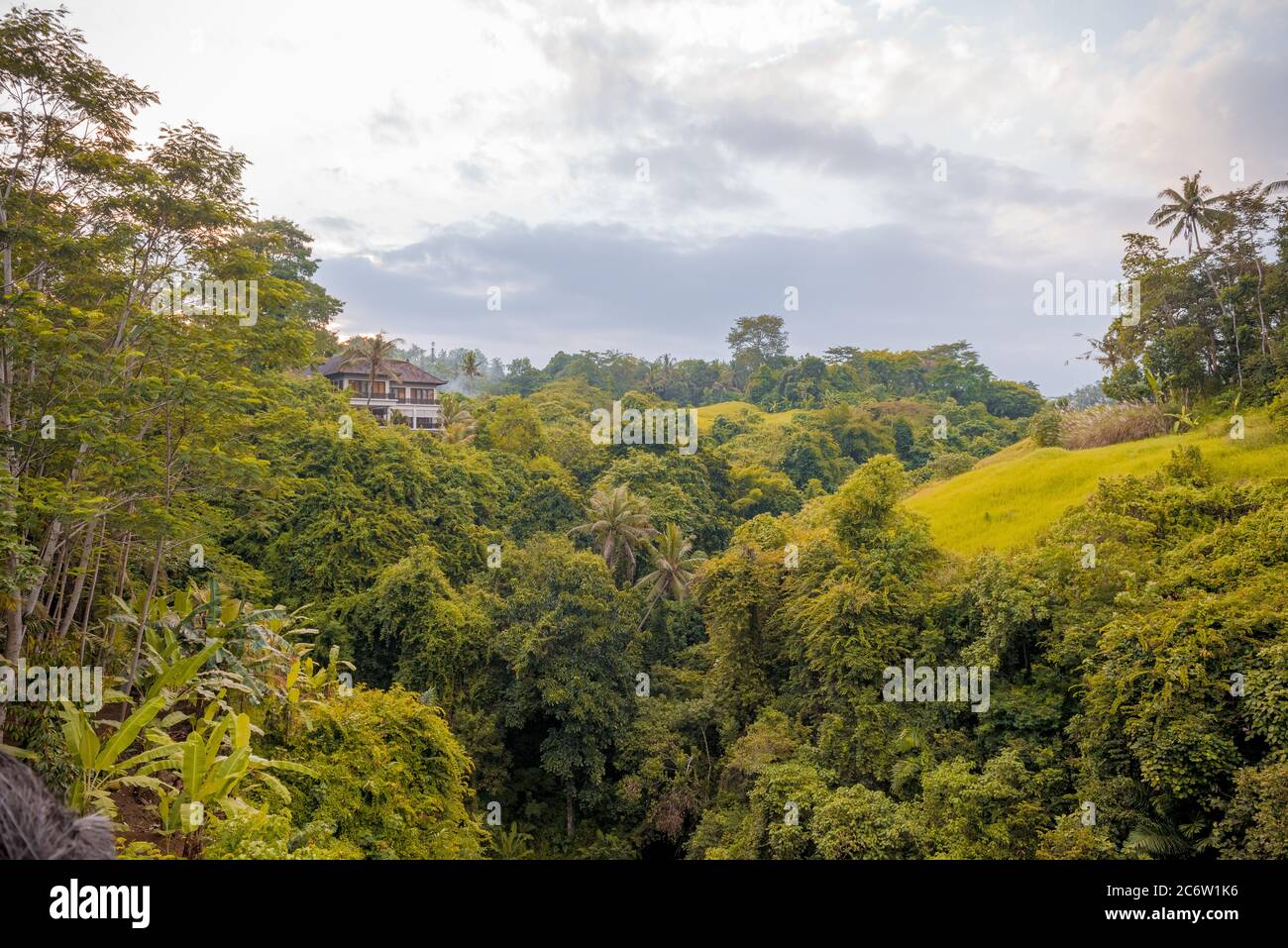 Elephant cave near ubud hi-res stock photography and images - Alamy