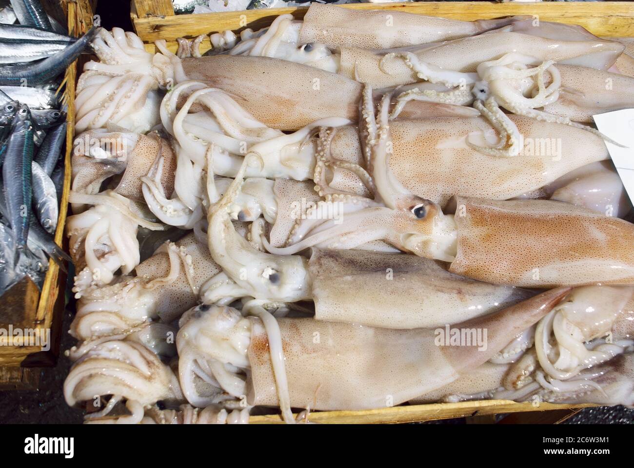 wooden box of squid in Catania fresh fish market, they are a typical food of Sicily from the sea Stock Photo