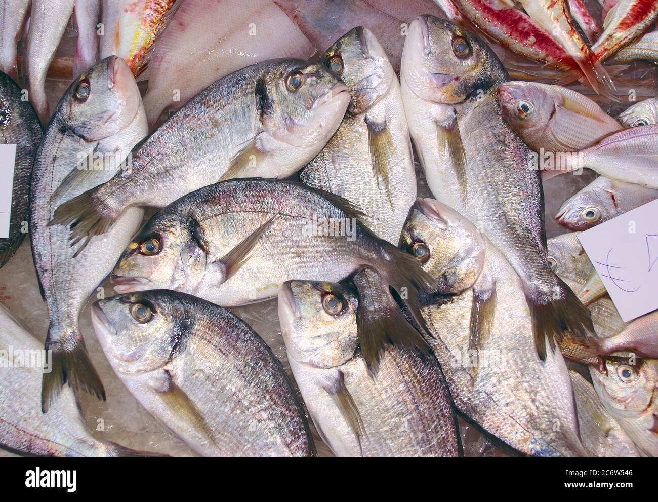 snapper in Catania fresh fish market, they are a typical food of Sicily from the sea Stock Photo