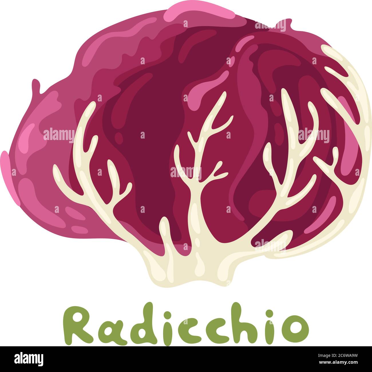 Red radicchio healthy organic vegetarian food. Seasonal cultivated vegetable. Plant radicchio organic salad. Radicchio lettuce cute vector icon Stock Vector