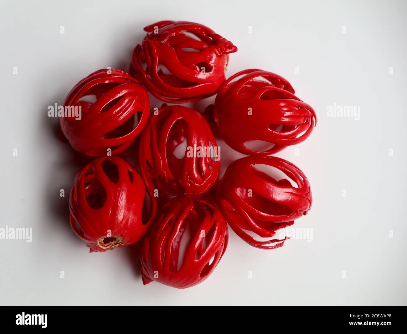 Fresh red color nutmeg mace, the seed covering kept against white