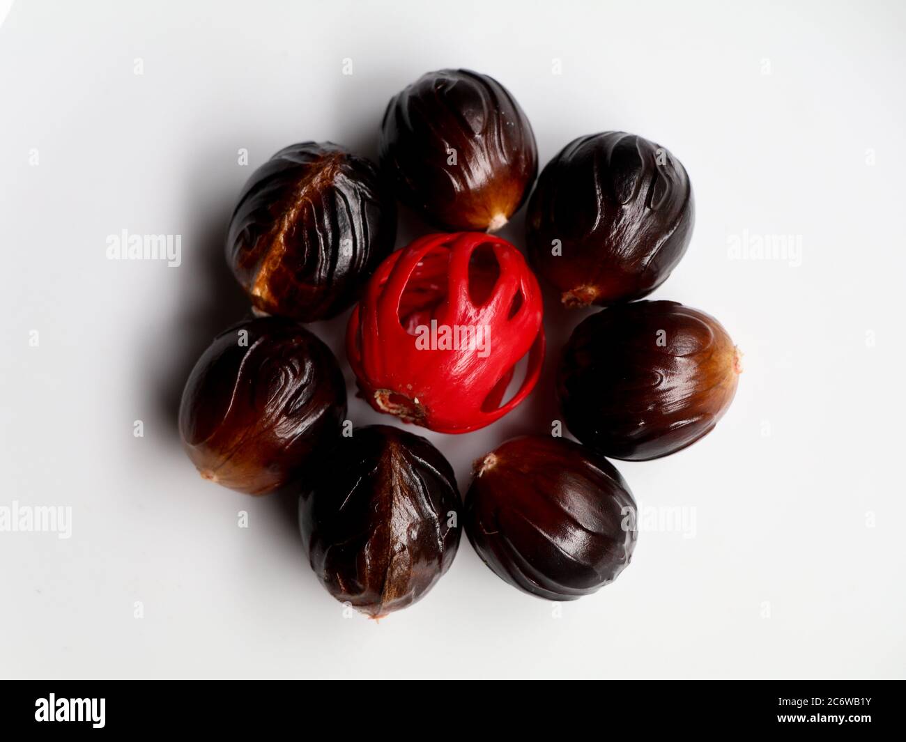 Fresh brown color nutmeg seed kept against white background. Nutmeg