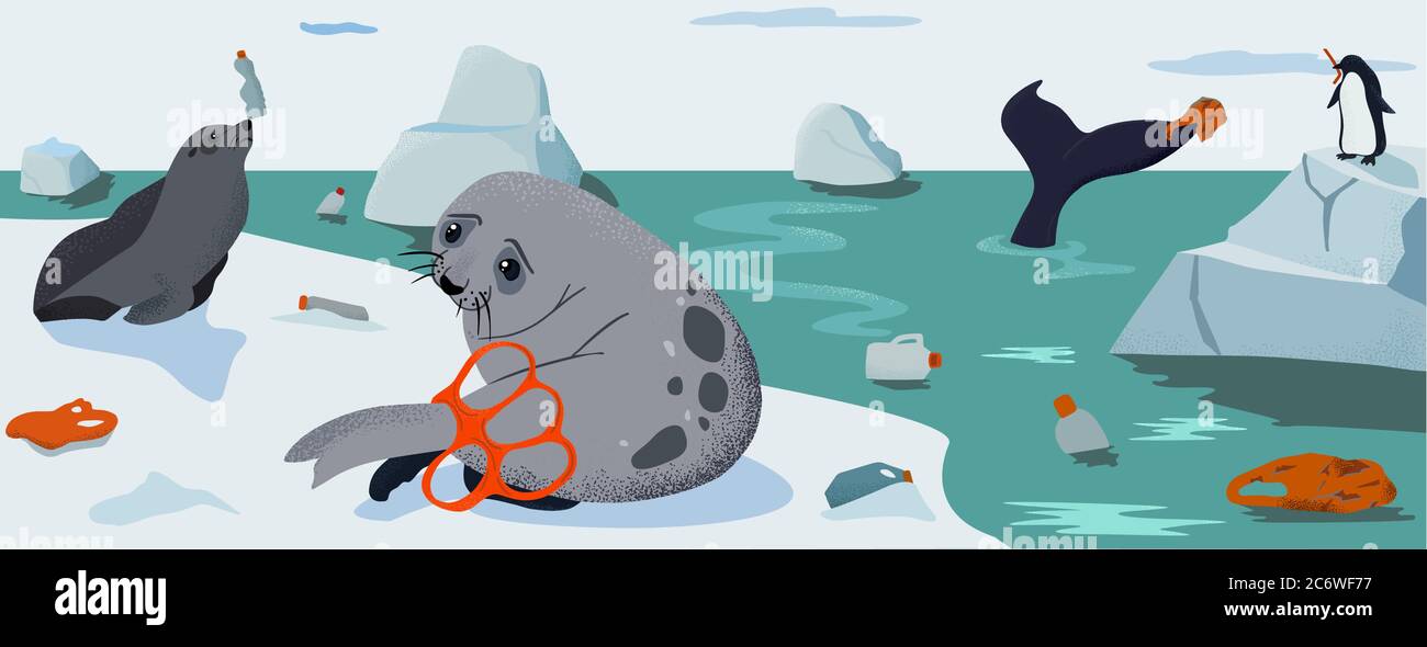 Environmental problem of pollution of the oceans, plastic and fur seals Stock Vector