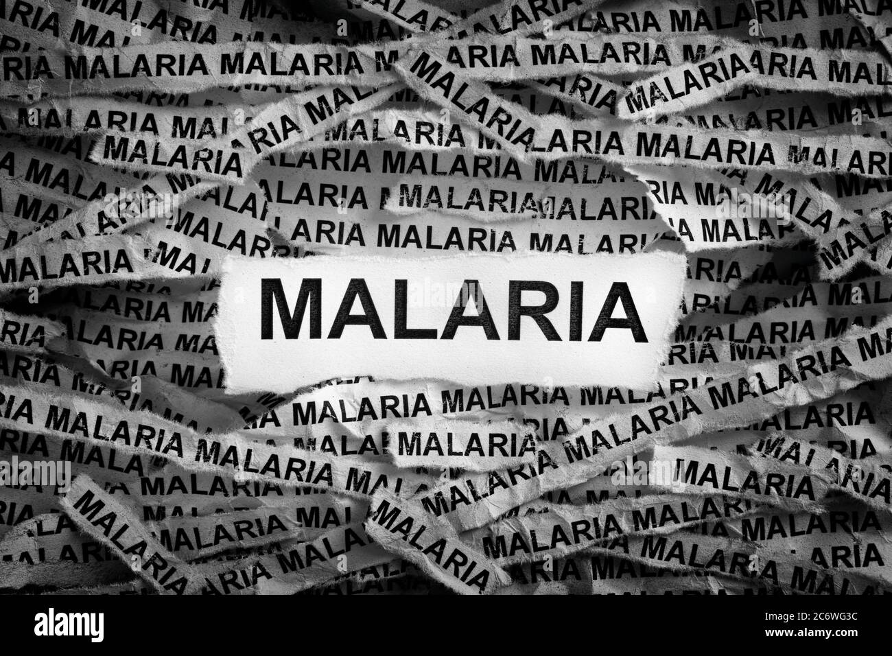 Malaria. Torn pieces of paper with the word Malaria. Concept Image. Black and white. Close up. Stock Photo