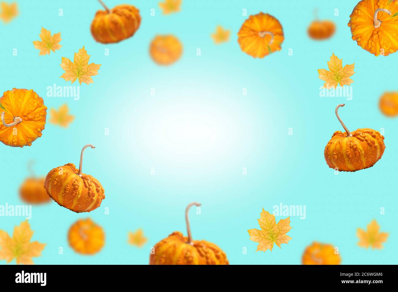 Autumn frame with falling orange pumpkin and maple leaves on light blue ...