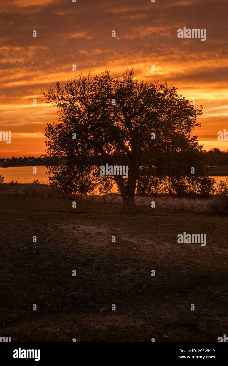 Tranquil lake sunset reflects hi-res stock photography and images - Alamy