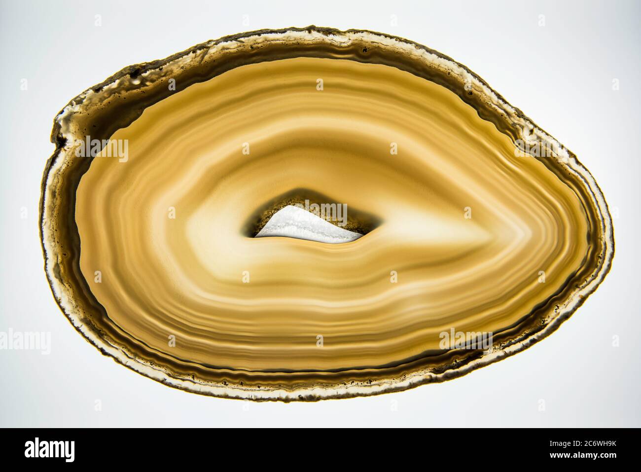 Cross section of Agate, by Bruce Montagne/Dembinsky Photo Assoc Stock Photo