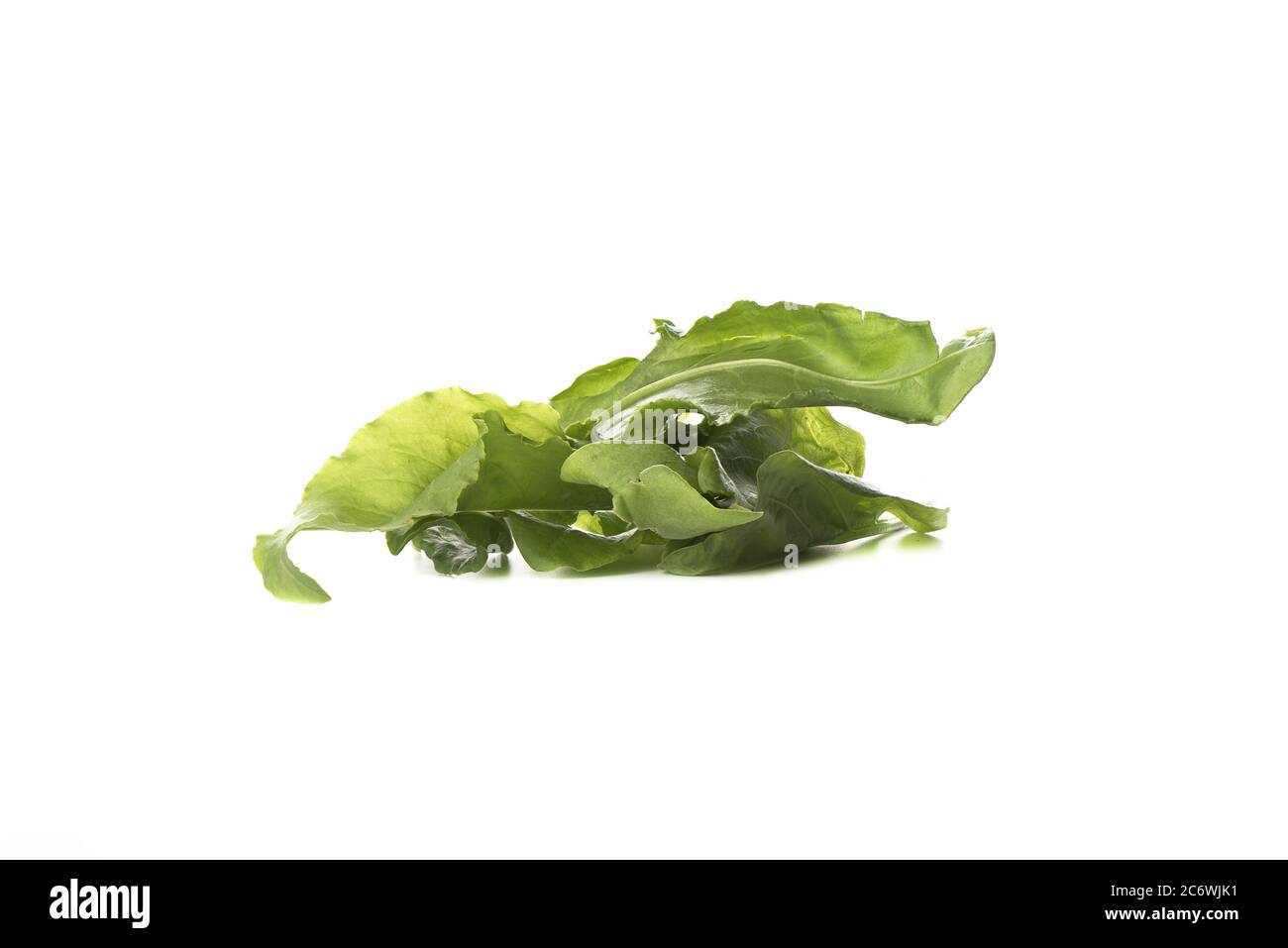 Several lettuce leaves isolated on a white background. Copy space Stock Photo