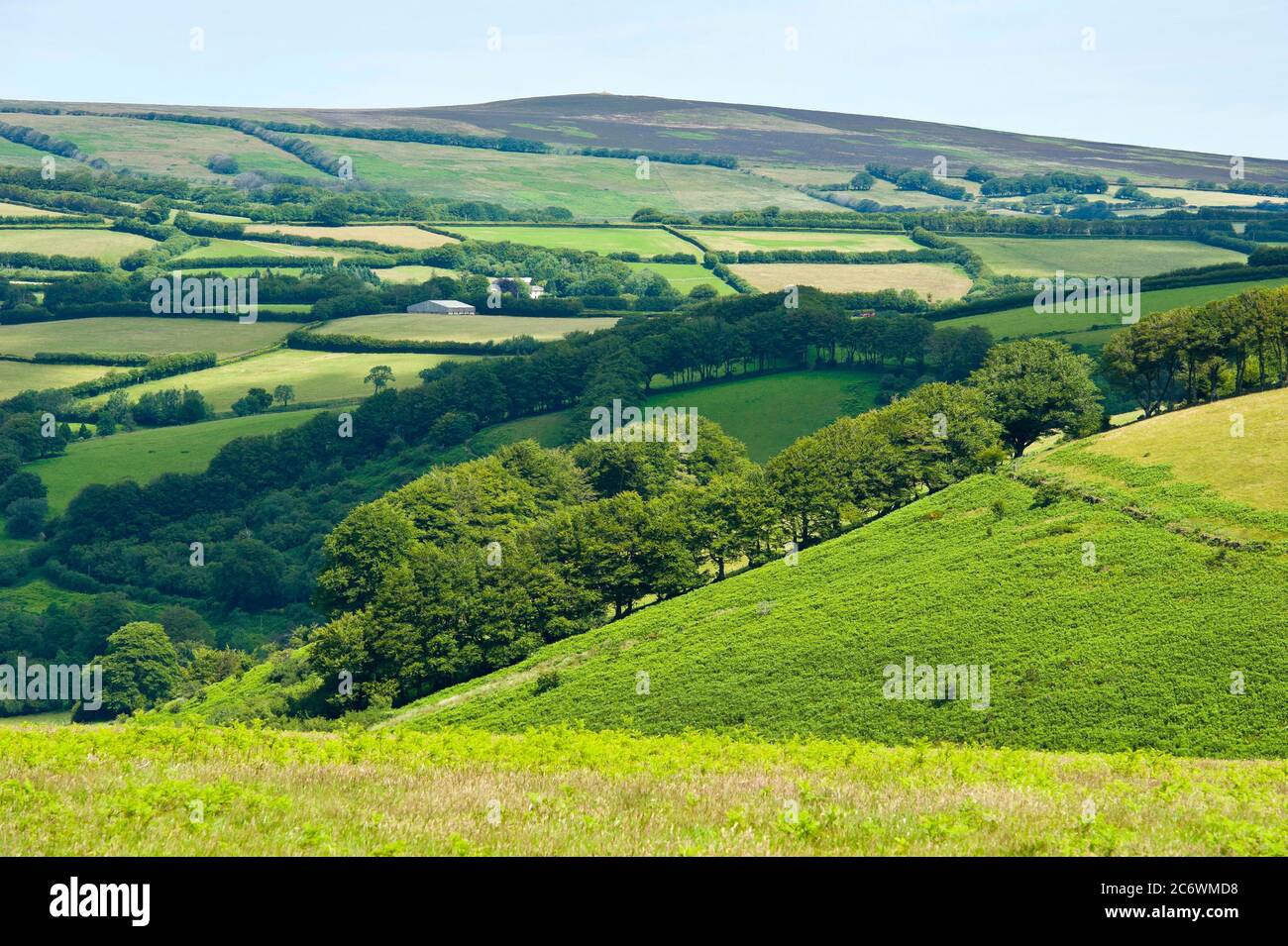 Exmoor countryside near  Exford, Exmoor, Somerset, England Stock Photo