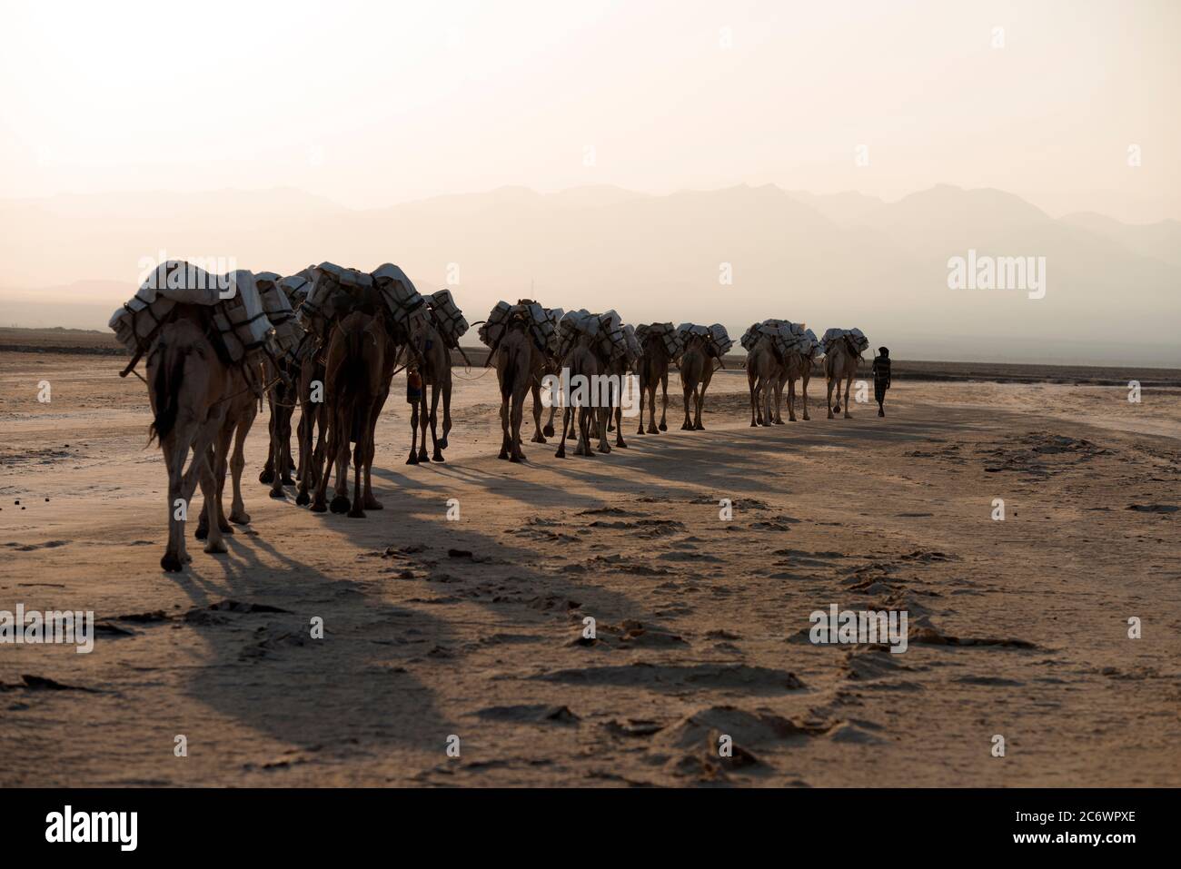 Camel Treks High Resolution Stock Photography and Images - Alamy