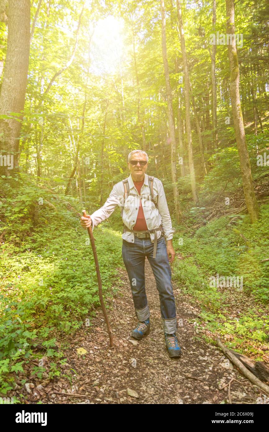 Senior male hiker at the start of his tour on a trail in the forest in the morning light Stock Photo