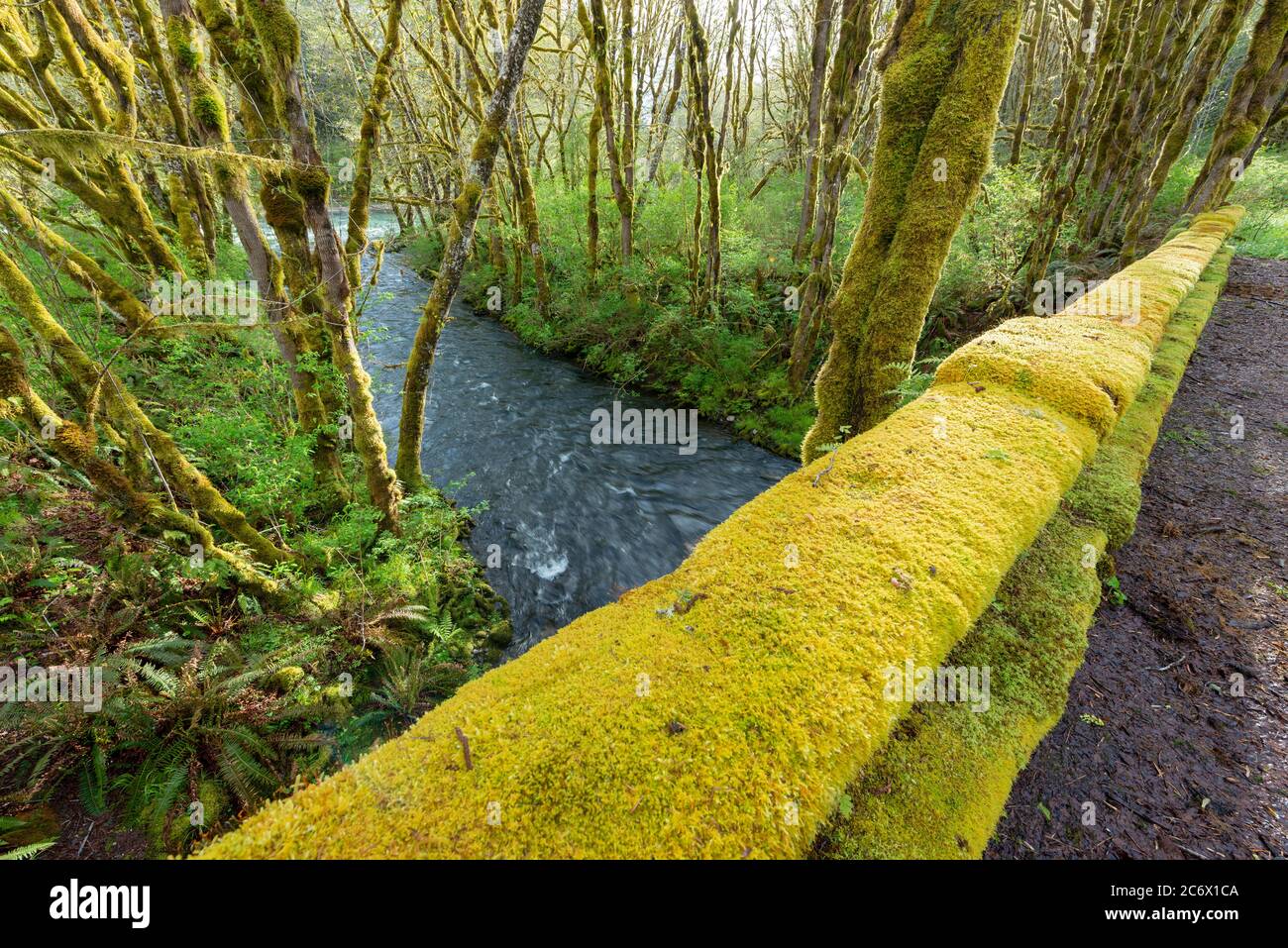 Moss Covered Bridge High Resolution Stock Photography And Images Alamy