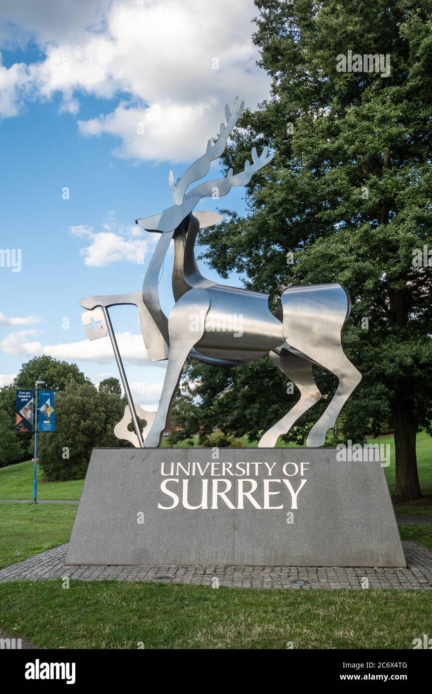 The Surrey Stag stainless steel sculpture by sculptor Allan Sly at the entrance to the University of Surrey Stag Hill Campus in Guildford, England, UK Stock Photo