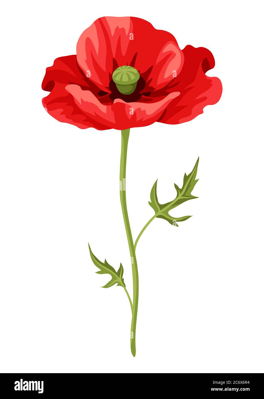 Illustration of realistic poppy. Beautiful flower Stock Vector Image ...