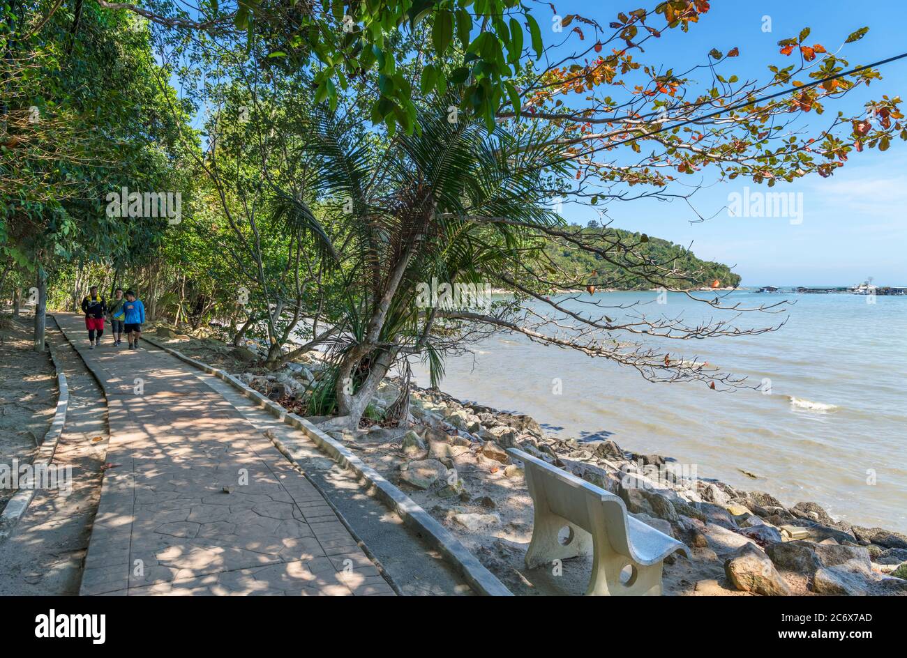 Trail through Penang National Park,Teluk Bahang, Penang, Malaysia Stock Photo