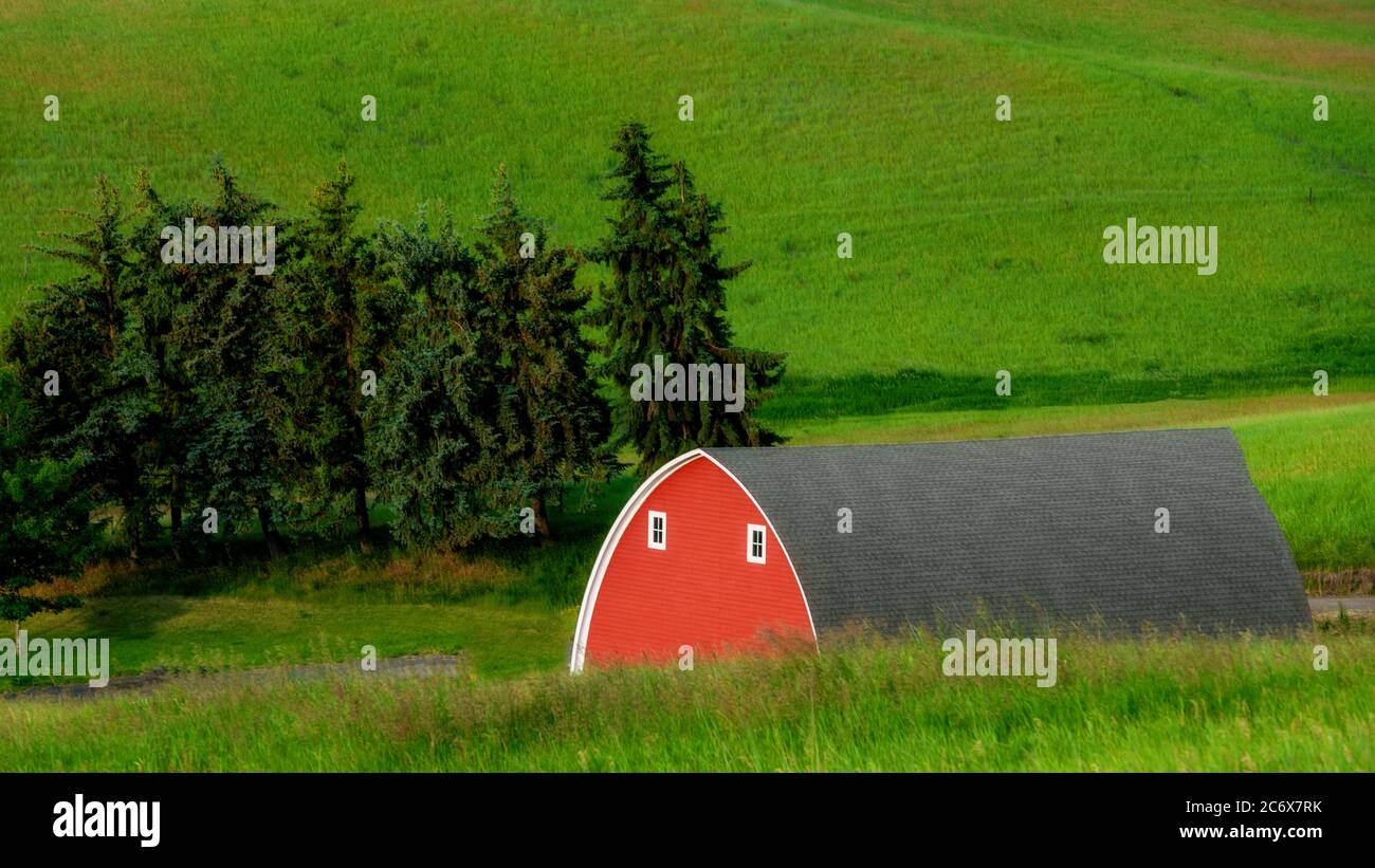 Agriculture farm fields with summer green and a red barn Stock Photo ...