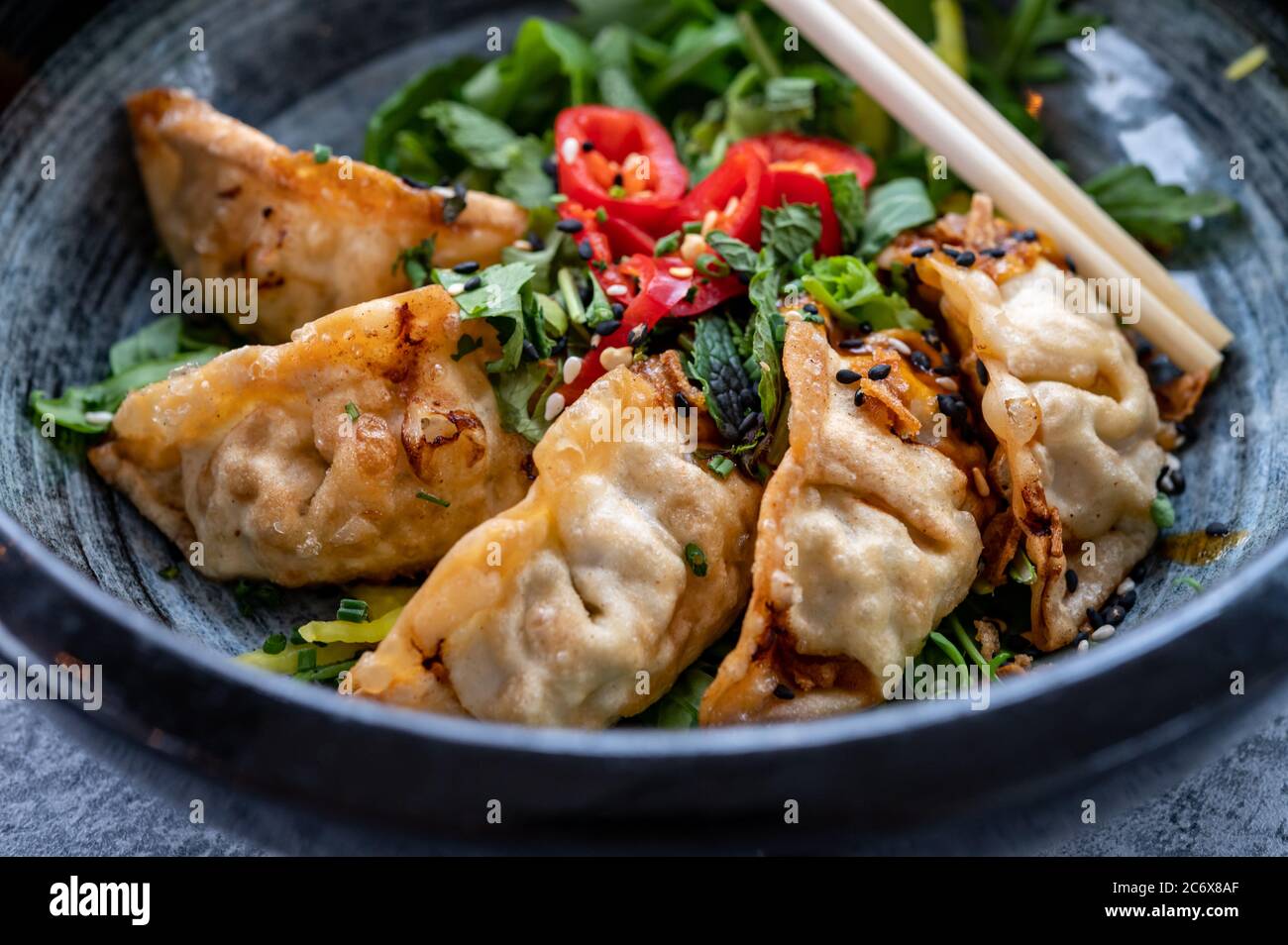 Tasty asian food, homemade deep fried chicken gyoza dumplings close up Stock Photo