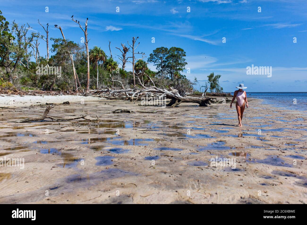 Bikini clad woman walking down the shoreline with a bunch of driftwood behind her Stock Photo