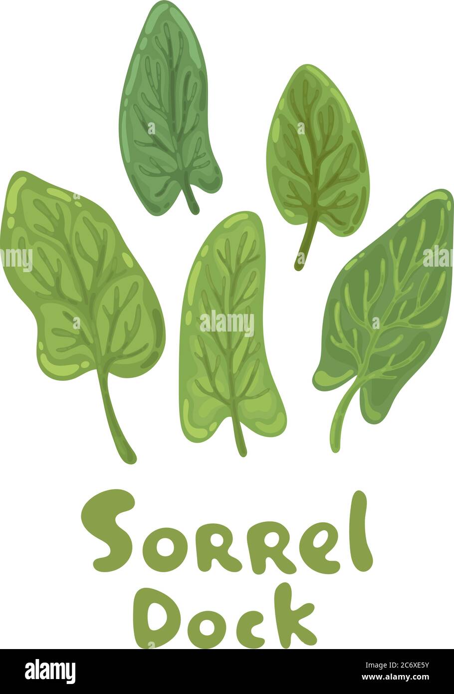 Sorrel meadow Stock Vector Images - Alamy