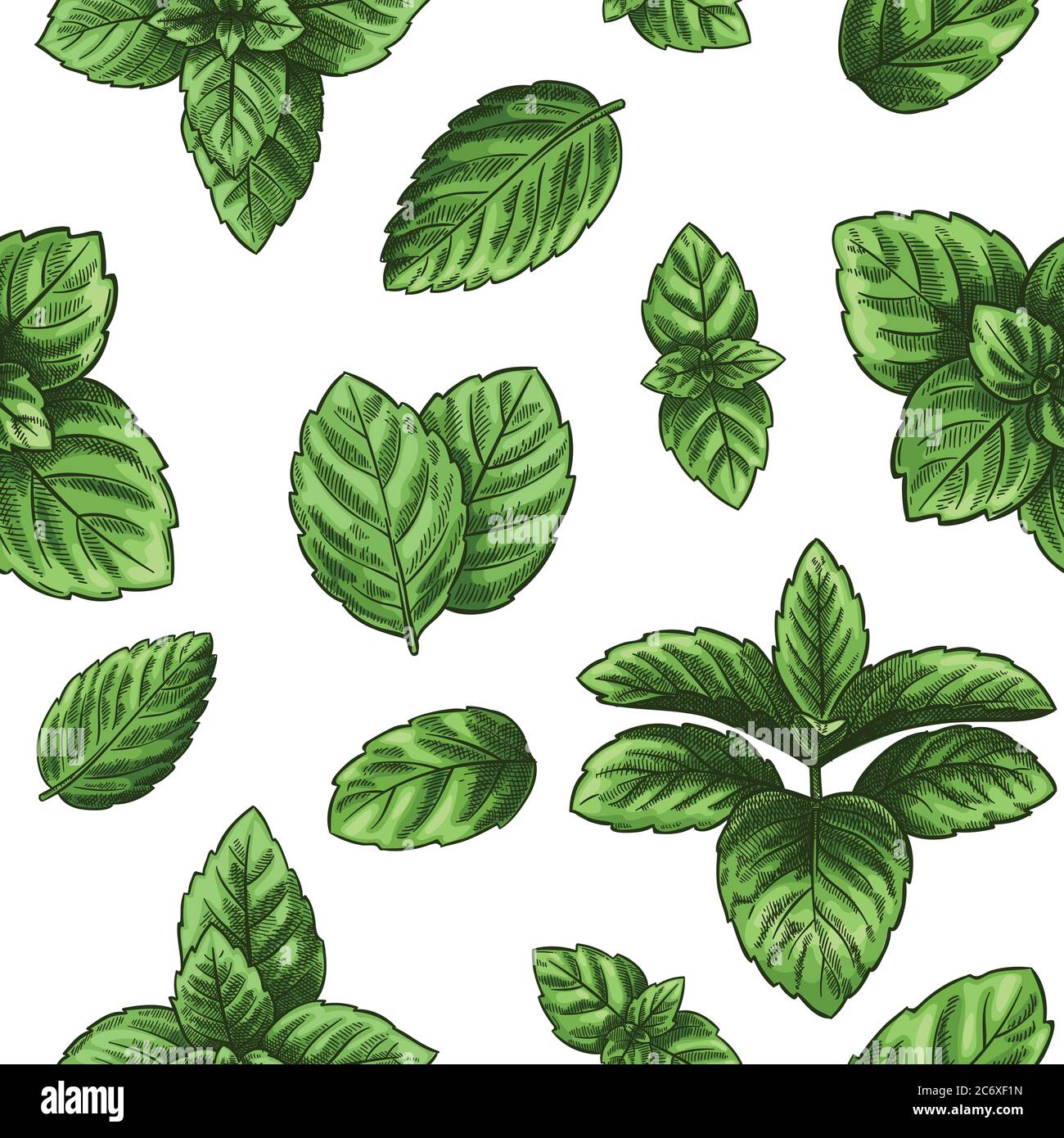 Mint Leaves Wallpapers  Wallpaper Cave