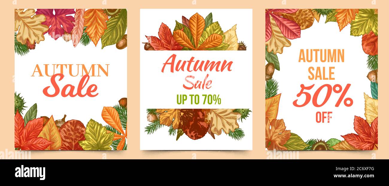 Autumn sale. Colorful fall leaves trendy design for flyers, retail coupons, season sale lettering discount banners vector set Stock Vector